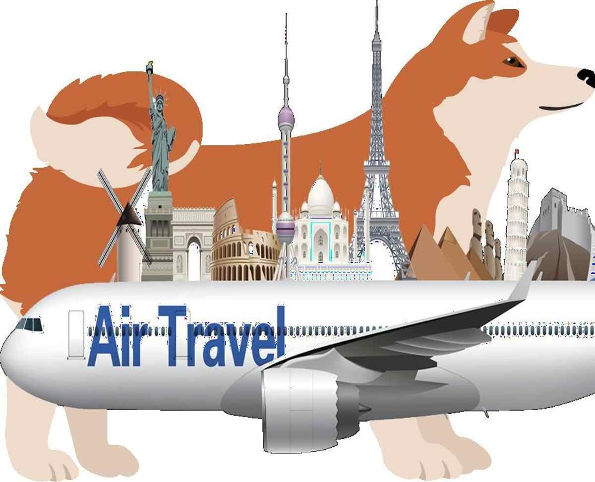 How to Travel with Akita on an Airplane (Travel Crate Size Calculator)