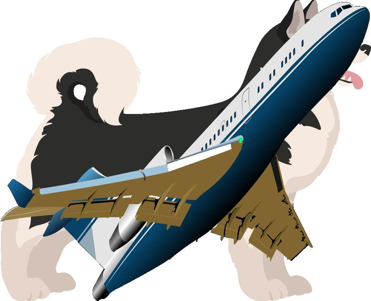 How to Travel with Alaskan Malamute on an Airplane (Travel Crate Size Calculator)